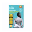 Plasturi cu arnica si gheara diavolului, 50 buc, 9x14 cm